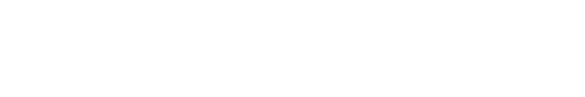 DIE ZEIT
